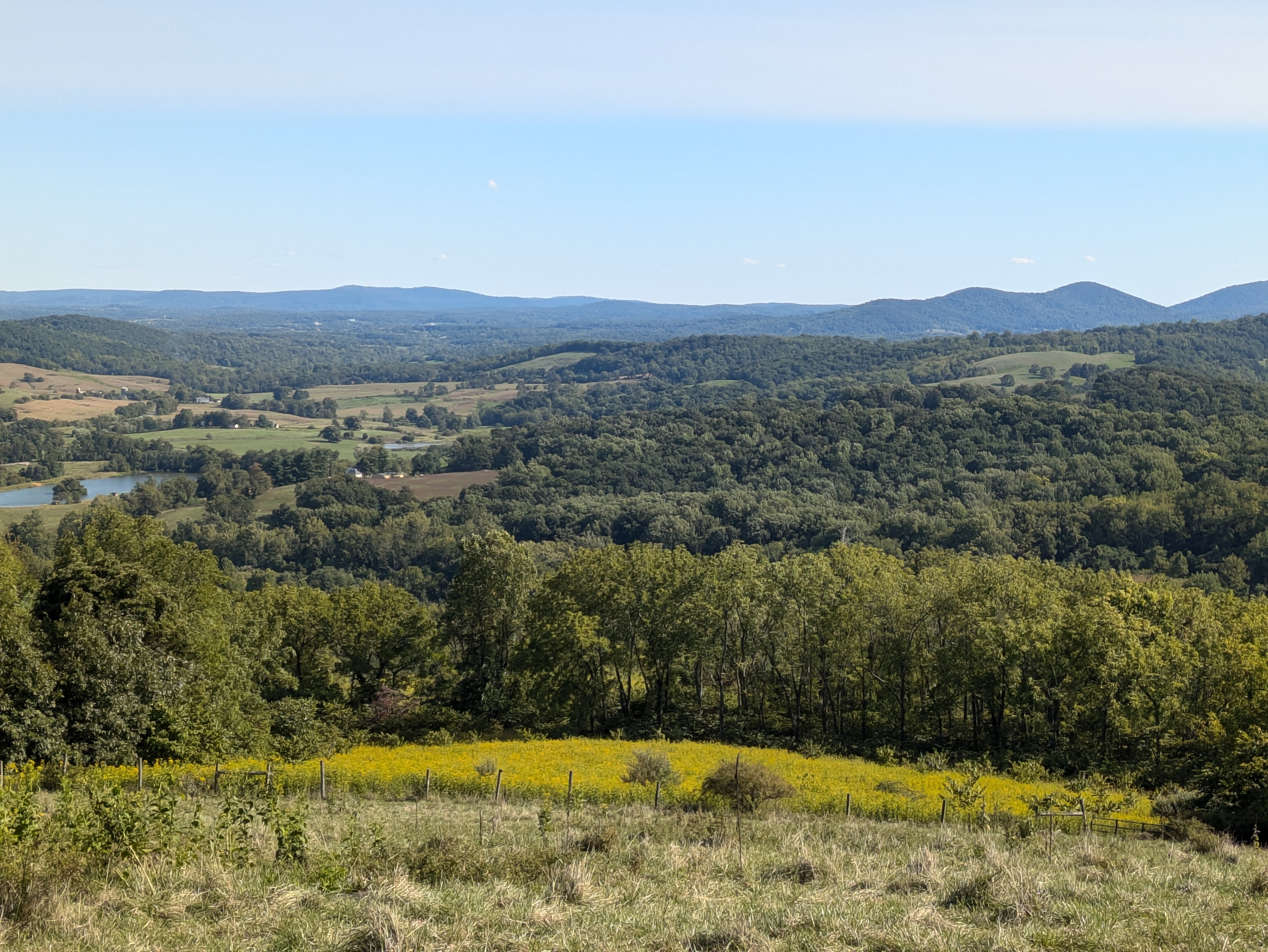 exterior view of the property.